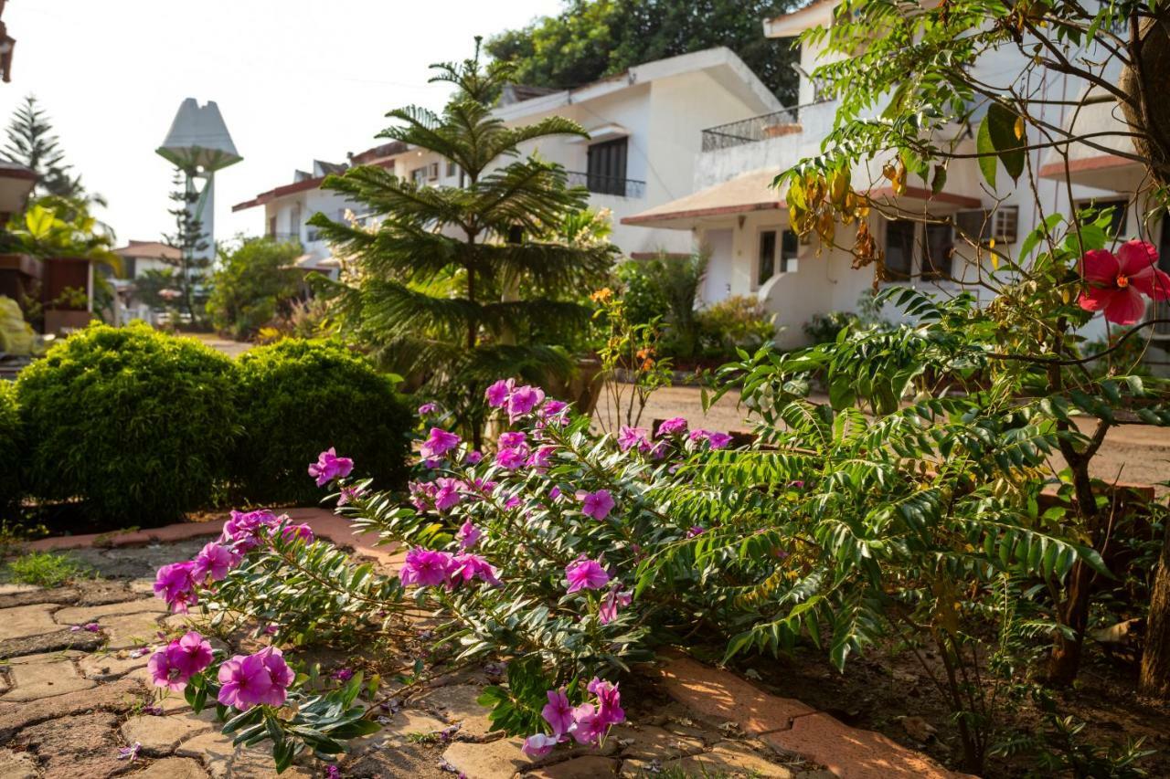 Aspirealconvilla-2Bhk-Beachtouch-Candolim Eksteriør bilde